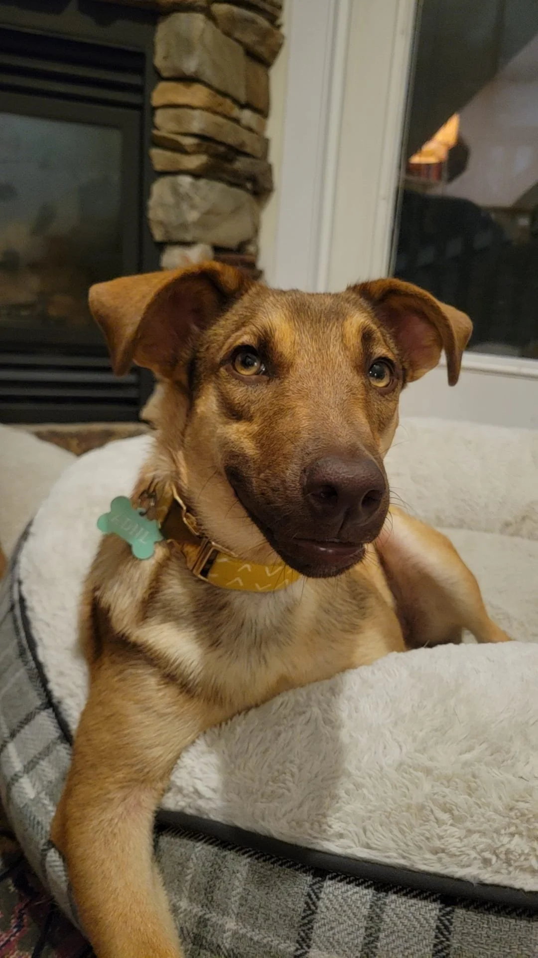 WhatsApp Image 2026-01-17 at 10.16.26 PM.jpeg