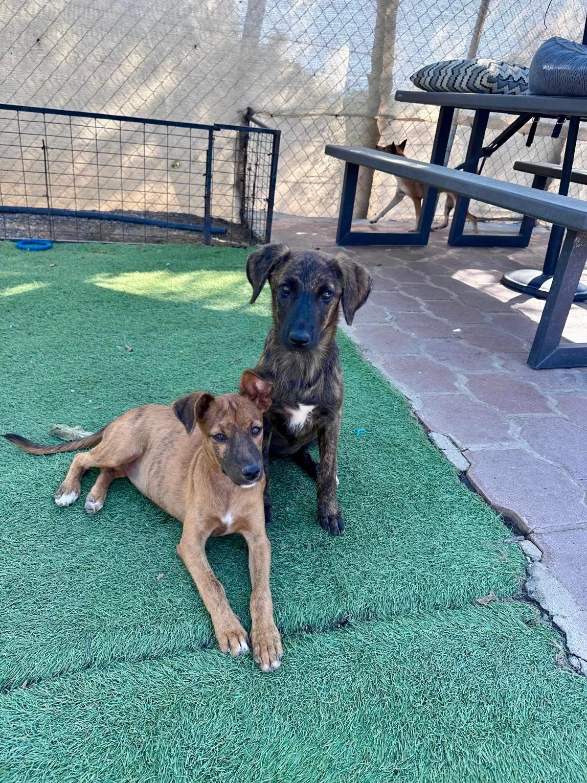 WhatsApp Image 2026-01-18 at 2.46.59 PM.jpeg