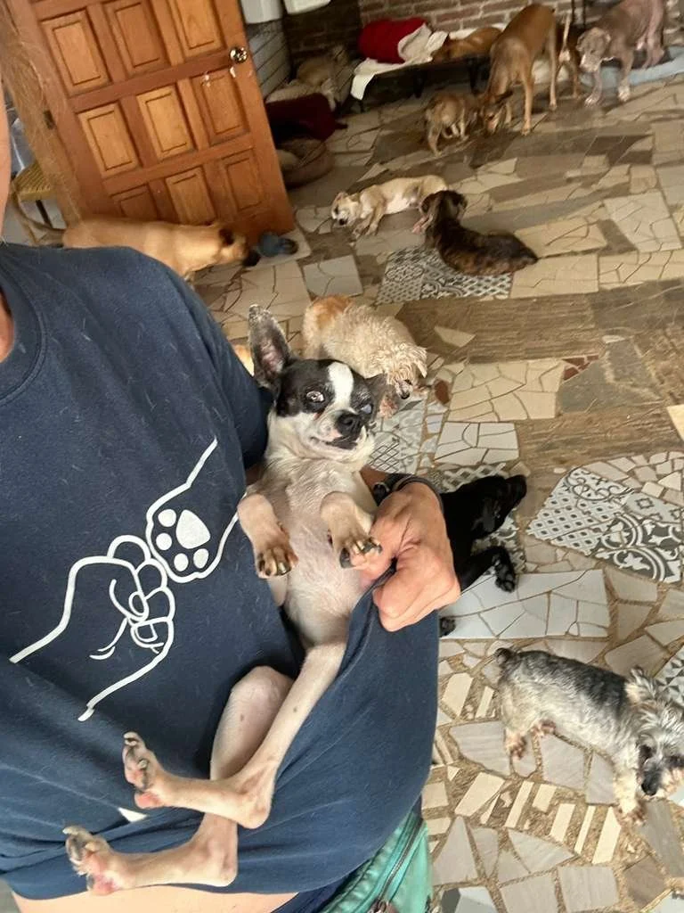 Raisin 1-20-26 A.jpeg