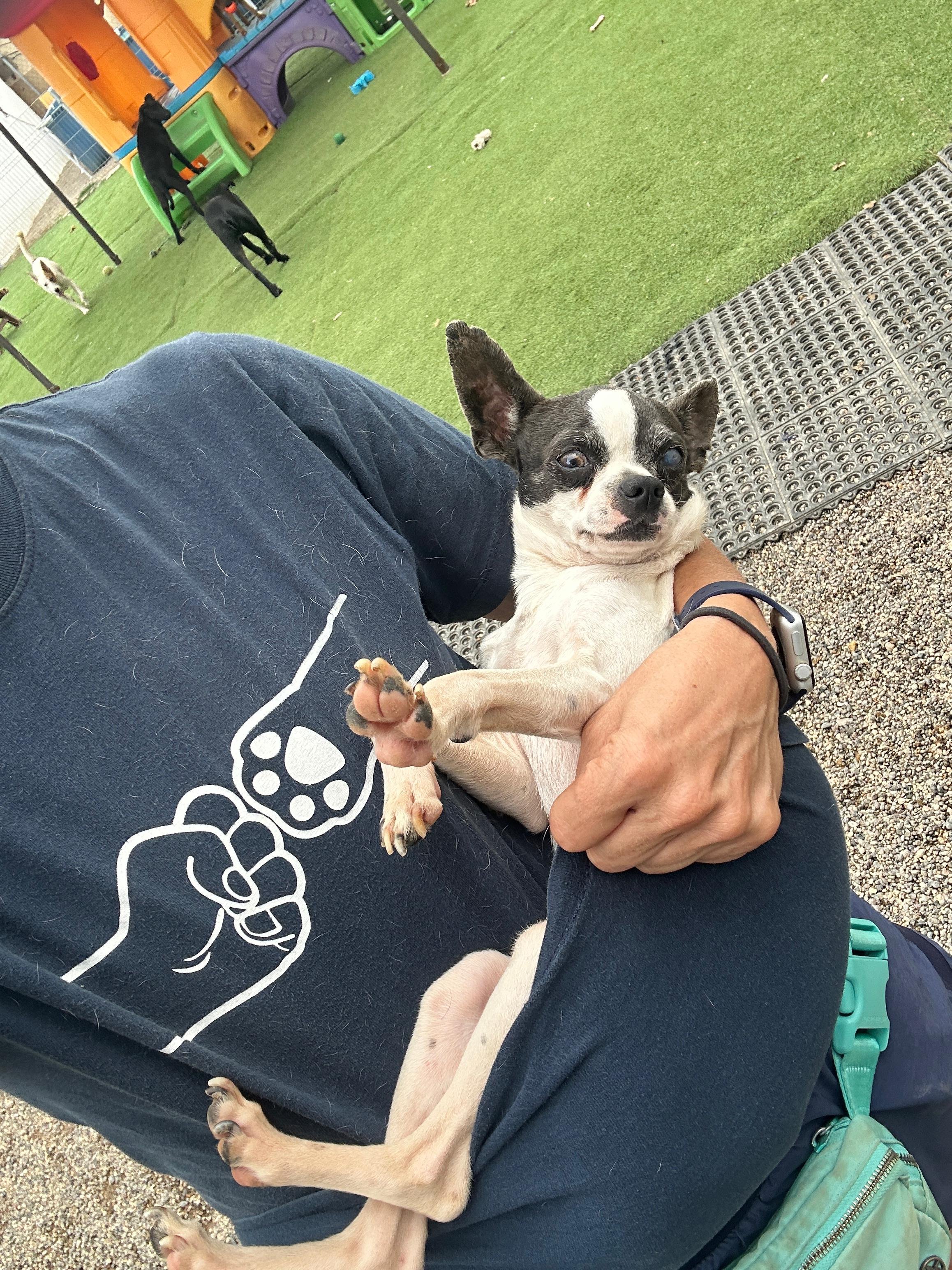 Raisin 1-20-26 B.jpeg