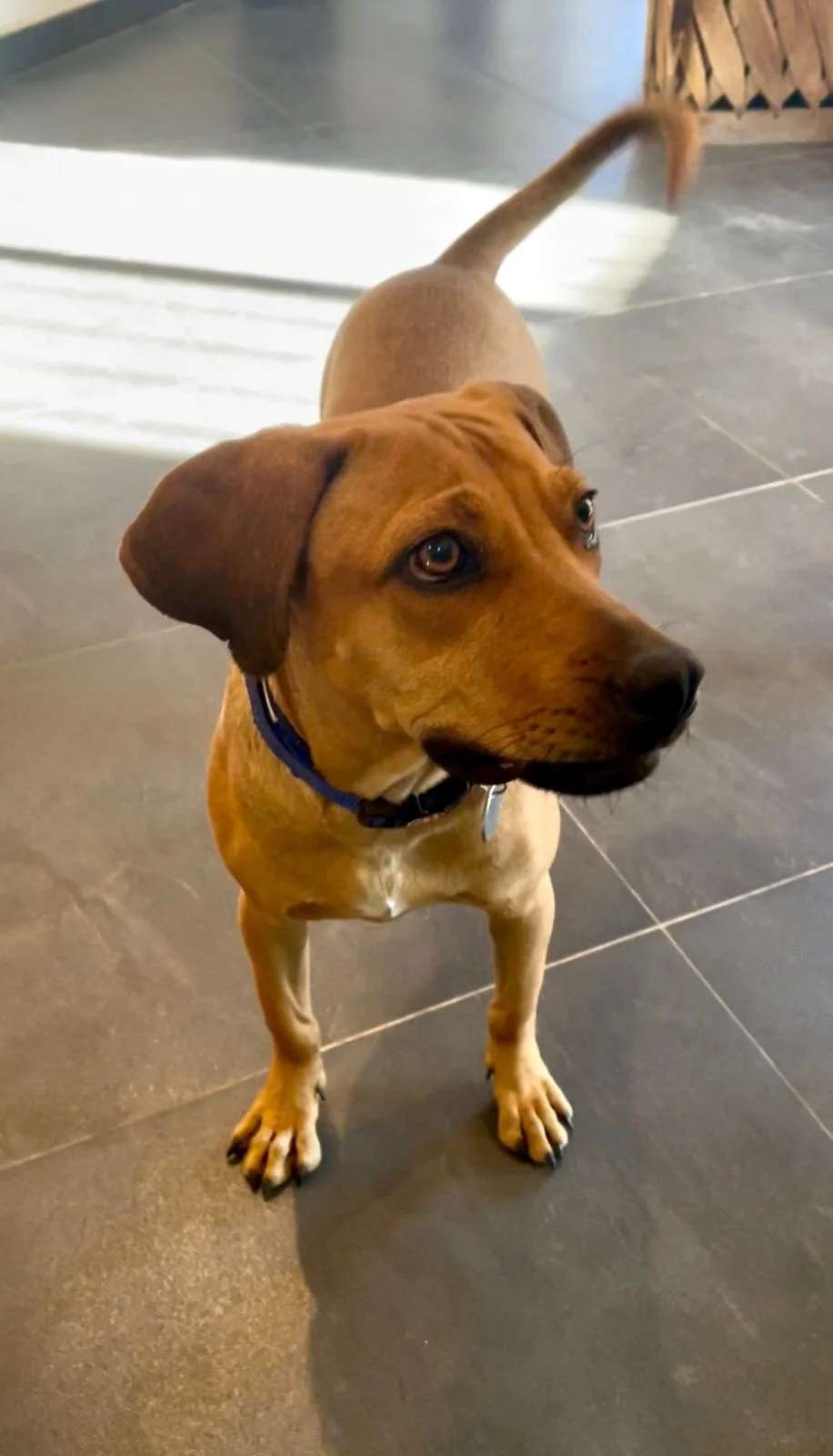 WhatsApp Image 2026-01-21 at 12.27.53 PM (3).jpeg