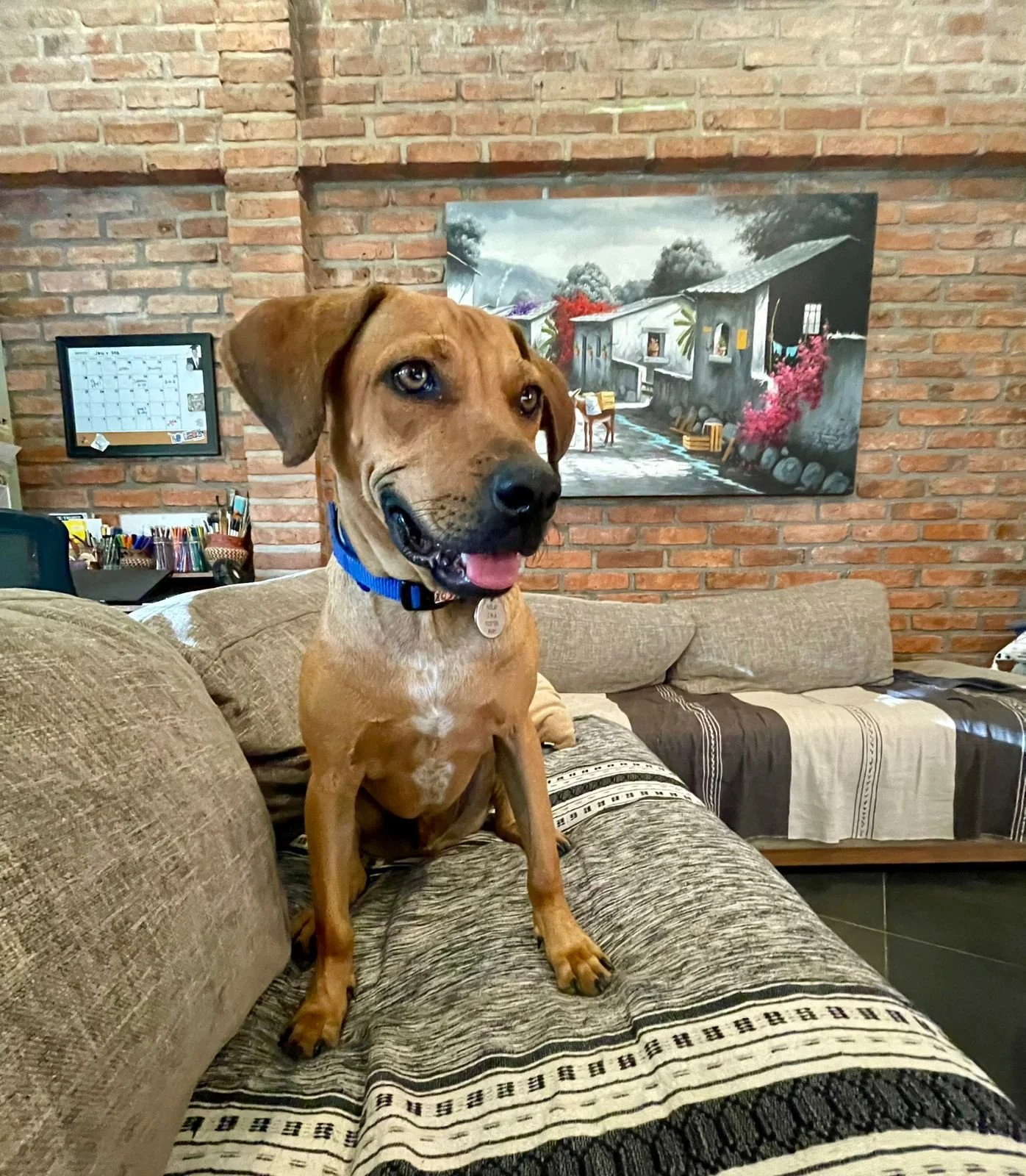 WhatsApp Image 2026-01-21 at 12.27.53 PM (1).jpeg