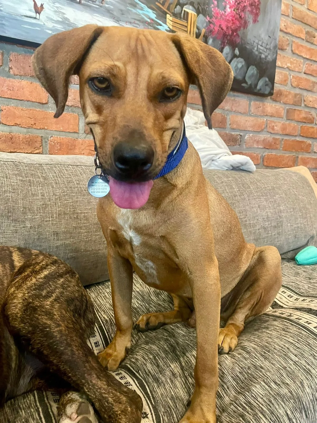 WhatsApp Image 2026-01-21 at 12.27.53 PM.jpeg