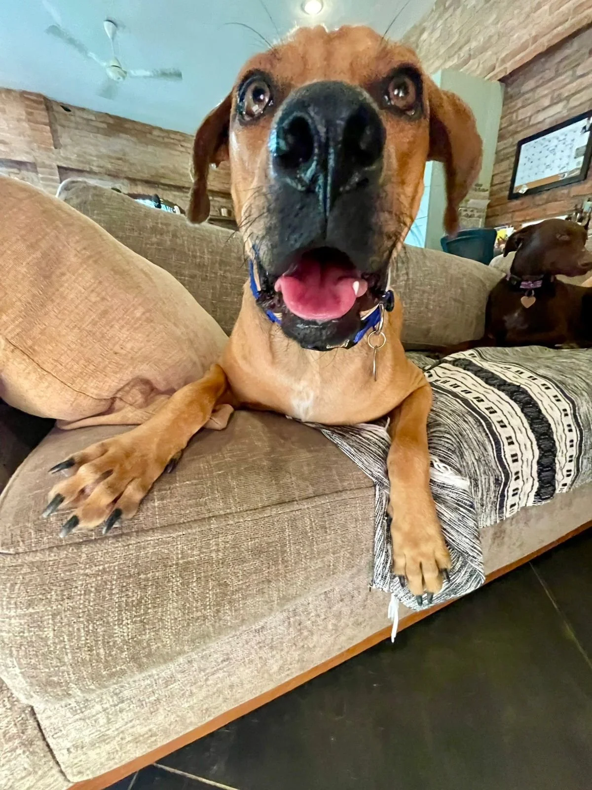 WhatsApp Image 2026-01-21 at 12.27.54 PM.jpeg