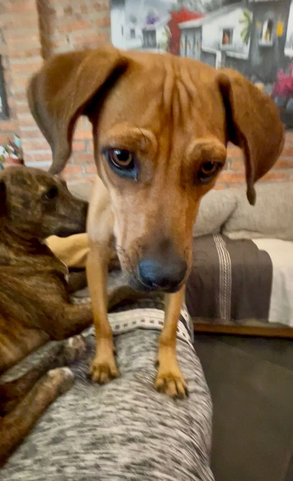 WhatsApp Image 2026-01-21 at 9.29.04 AM (1).jpeg