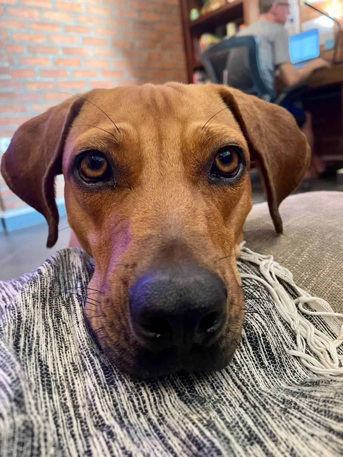 WhatsApp Image 2026-01-21 at 9.29.04 AM.jpeg