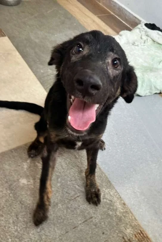 WhatsApp Image 2026-01-19 at 5.11.37 PM (1).jpeg