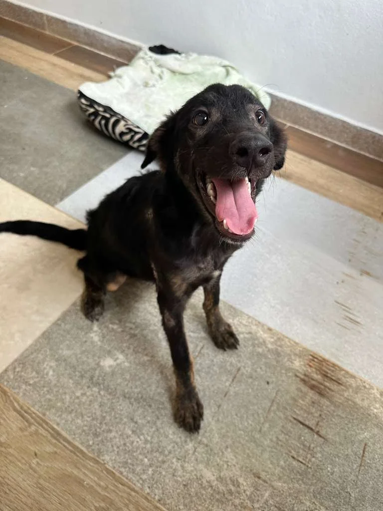 WhatsApp Image 2026-01-19 at 5.11.37 PM (2).jpeg