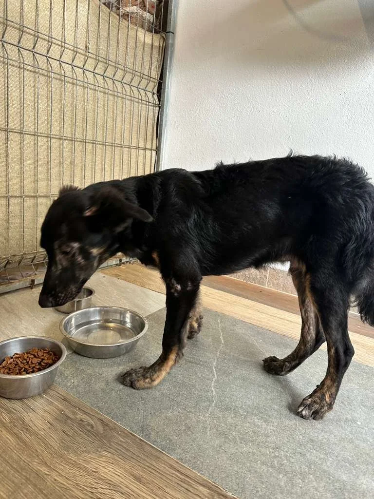 WhatsApp Image 2026-01-19 at 5.11.38 PM (2).jpeg