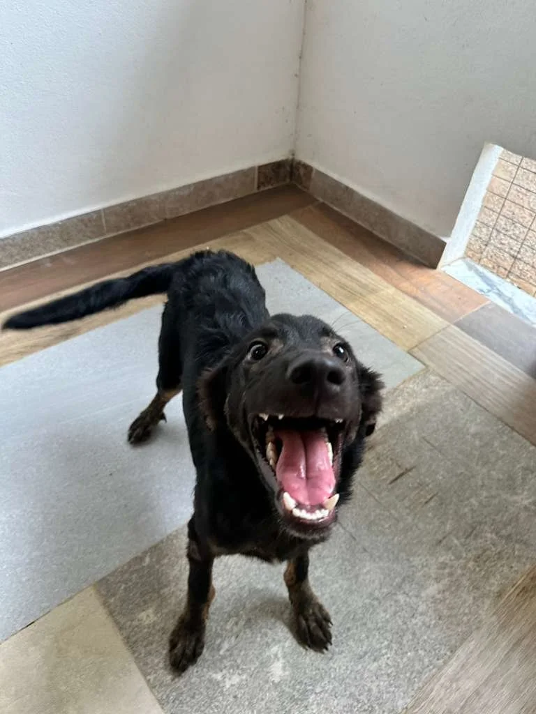 WhatsApp Image 2026-01-19 at 5.11.38 PM (4).jpeg