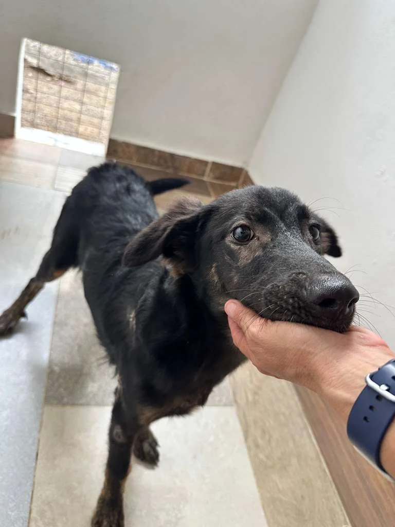 WhatsApp Image 2026-01-19 at 5.11.39 PM (2).jpeg