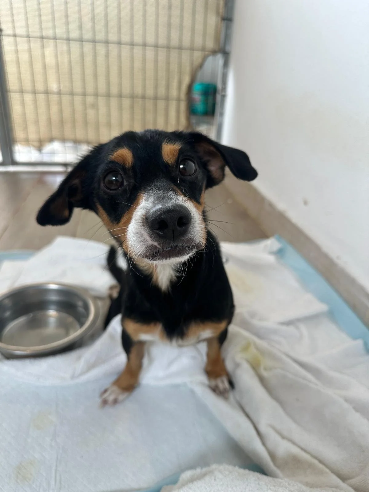 WhatsApp Image 2026-01-20 at 3.18.22 PM.jpeg