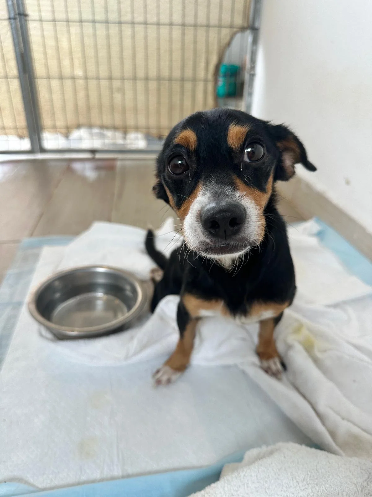 WhatsApp Image 2026-01-20 at 3.18.20 PM.jpeg