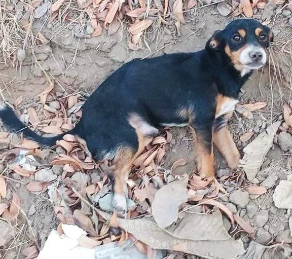 WhatsApp Image 2026-01-15 at 5.03.24 PM.jpeg