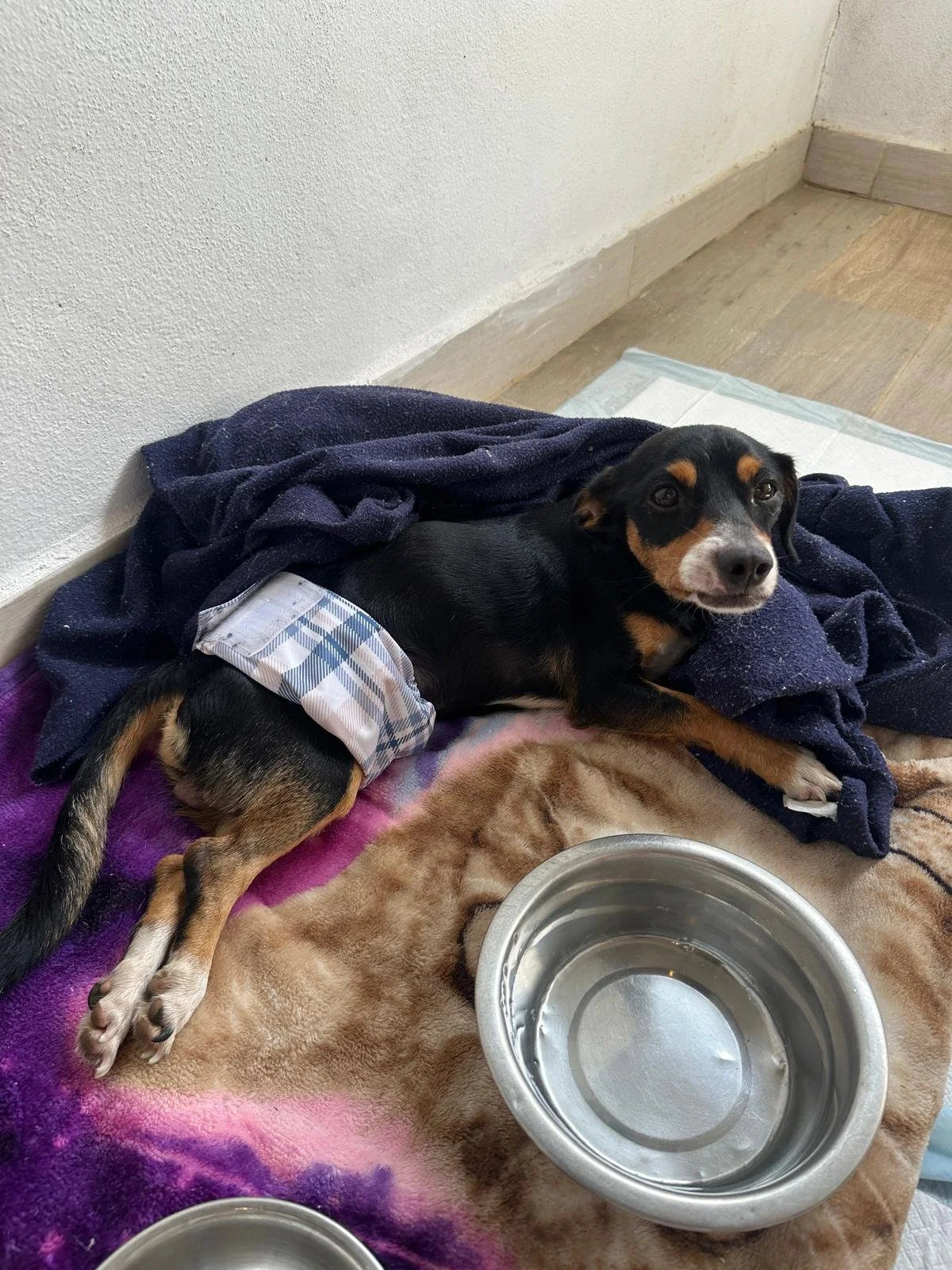 WhatsApp Image 2026-01-15 at 5.03.27 PM.jpeg