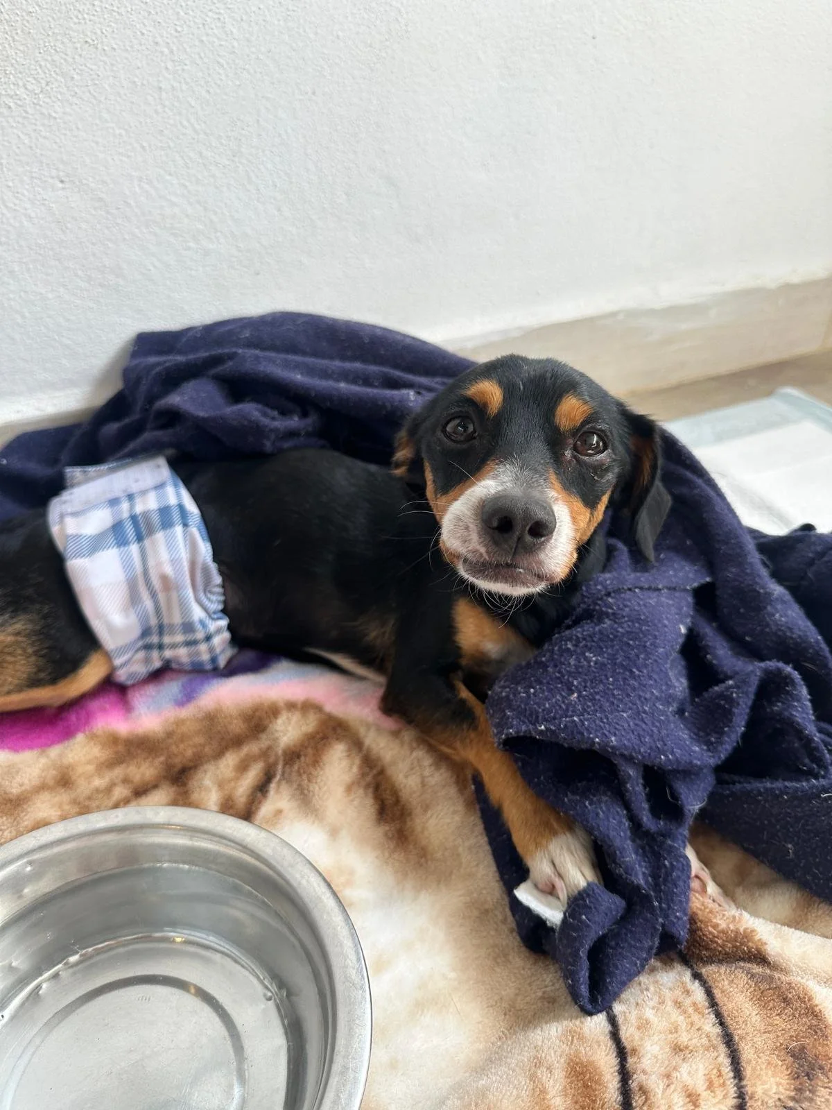 WhatsApp Image 2026-01-15 at 5.03.26 PM.jpeg