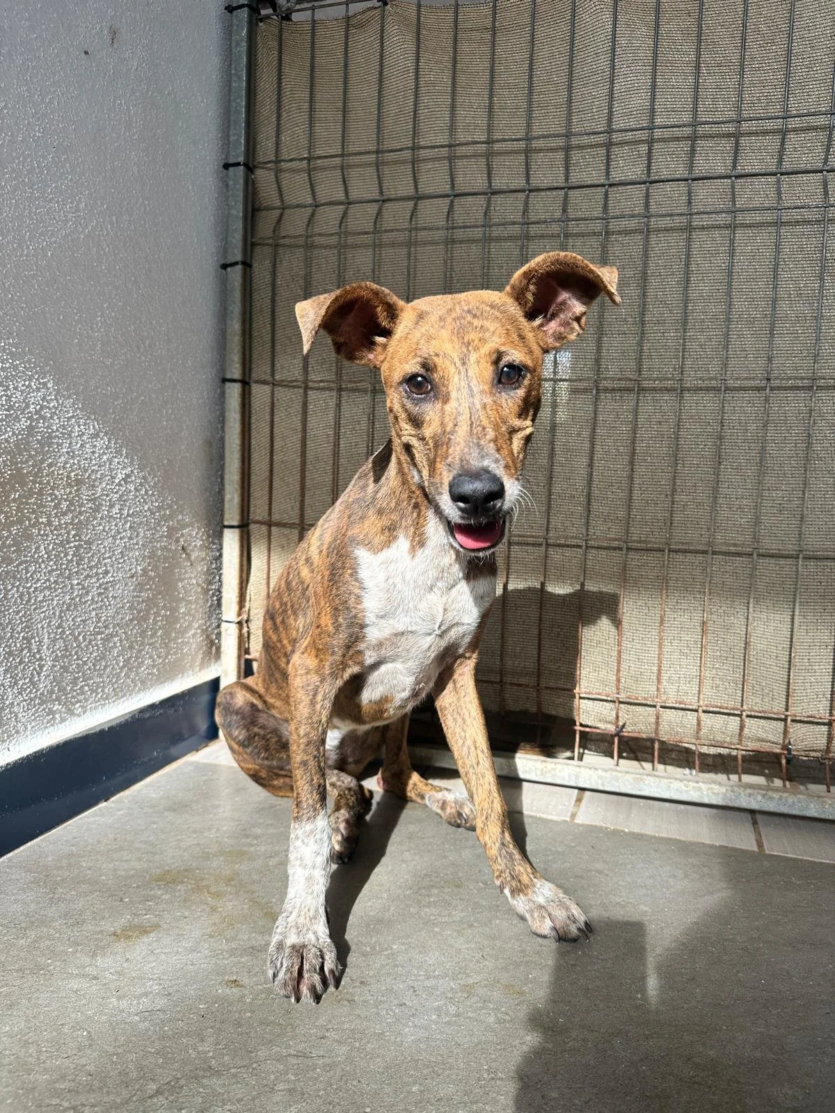 WhatsApp Image 2026-01-23 at 5.27.04 PM (7).jpeg