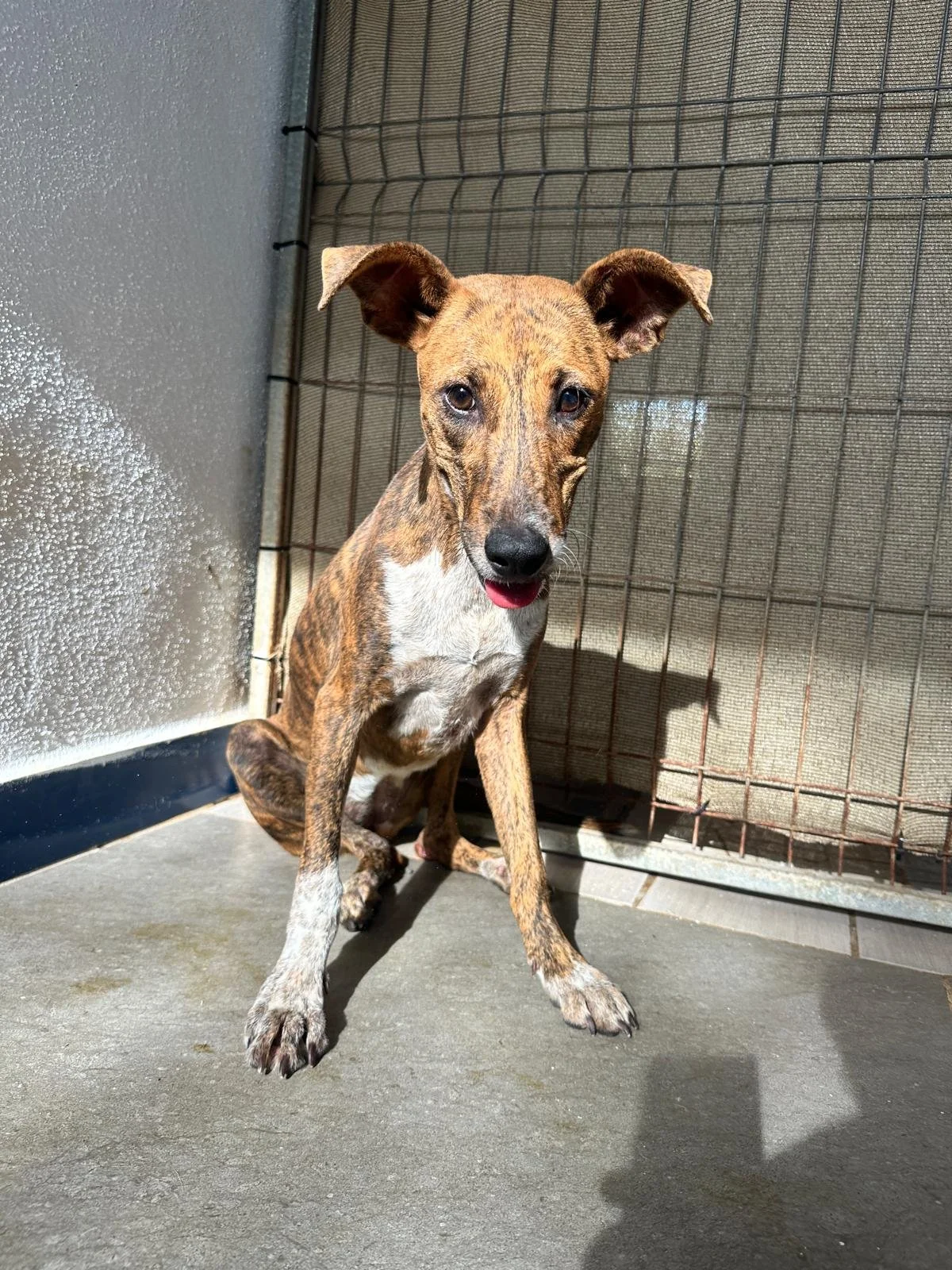 WhatsApp Image 2026-01-23 at 5.27.04 PM (2).jpeg