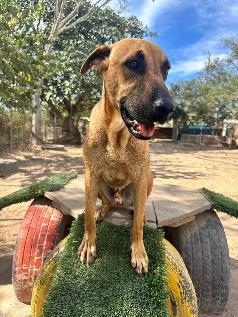 WhatsApp Image 2026-01-22 at 3.42.49 PM.jpeg