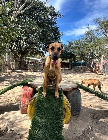 WhatsApp Image 2026-01-22 at 3.42.49 PM (1).jpeg