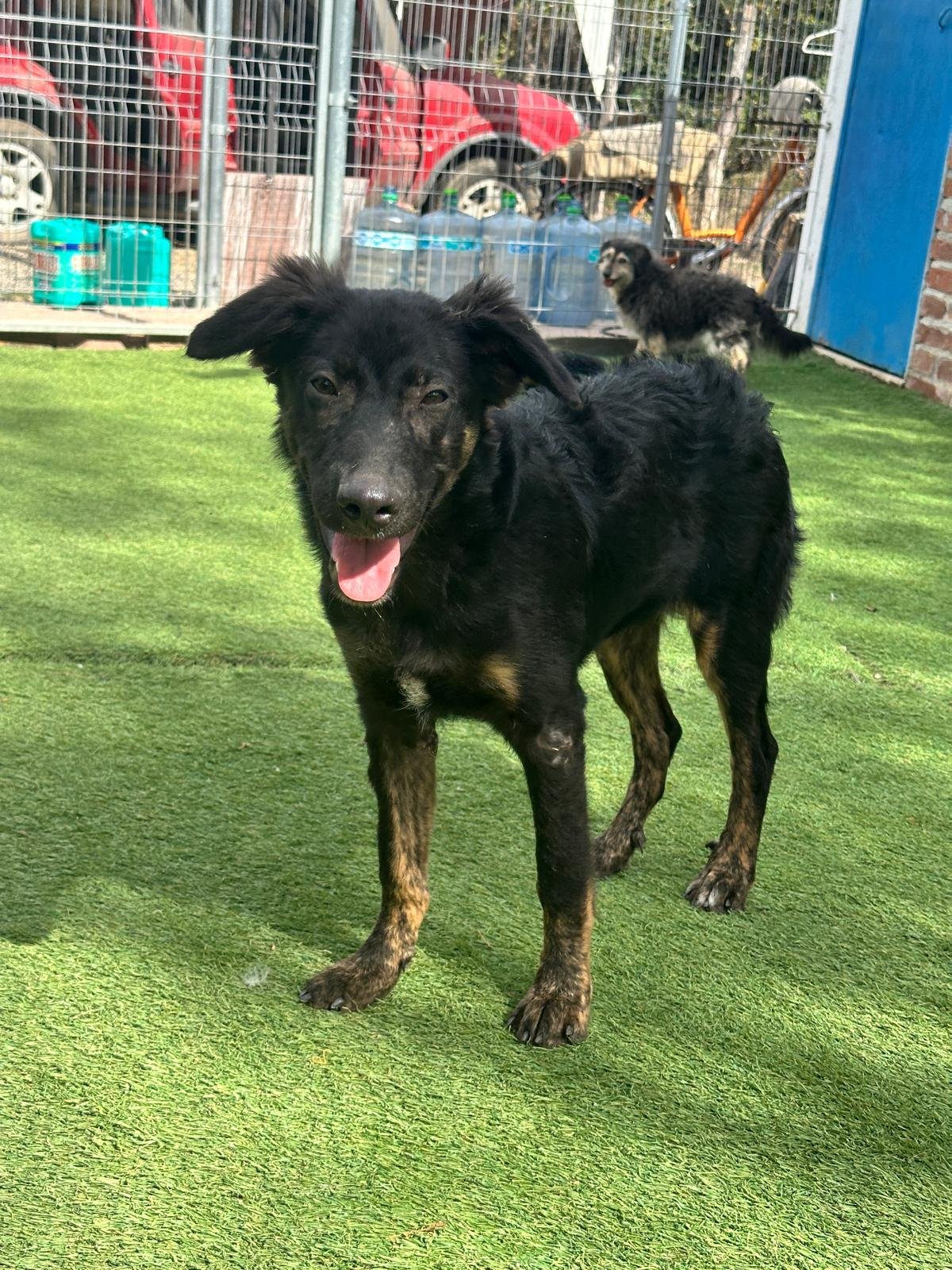 Vinny 1-22-26 A.jpeg