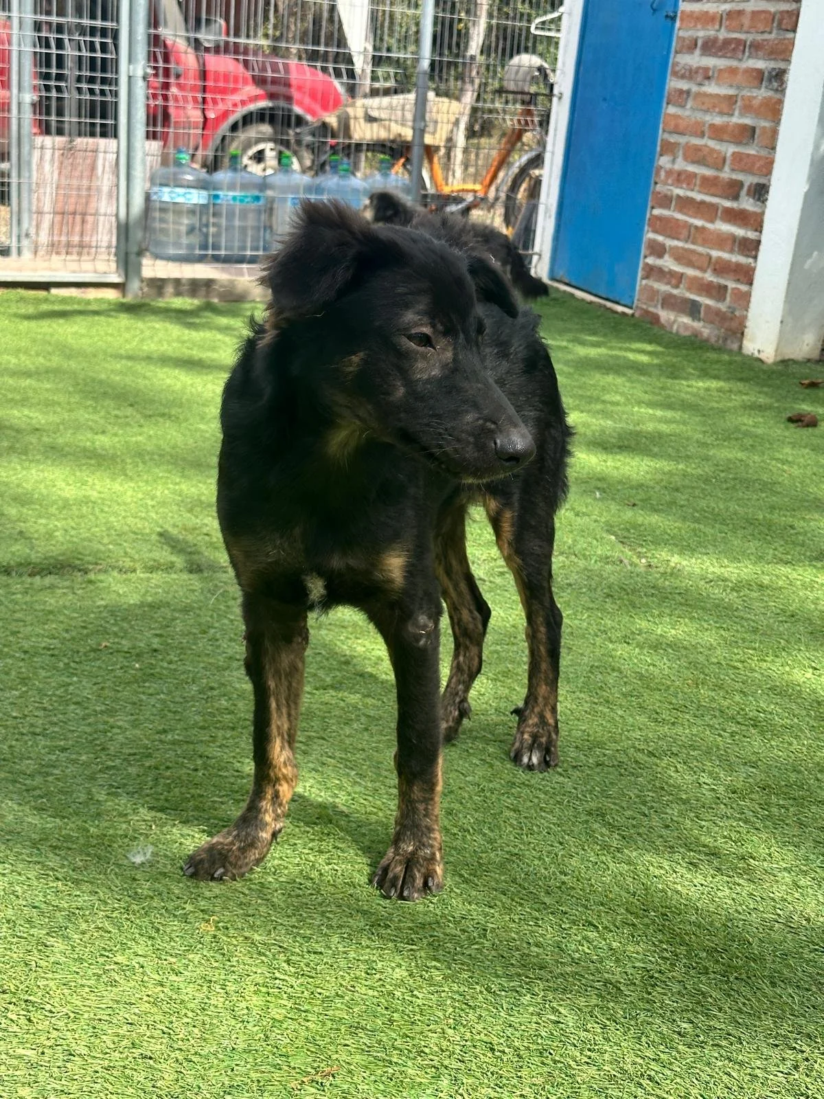 Vinny 1-22-26 B.jpeg