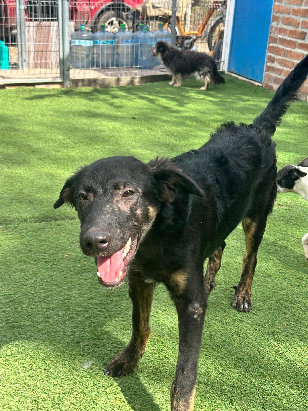 Vinny 1-22-26 C.jpeg