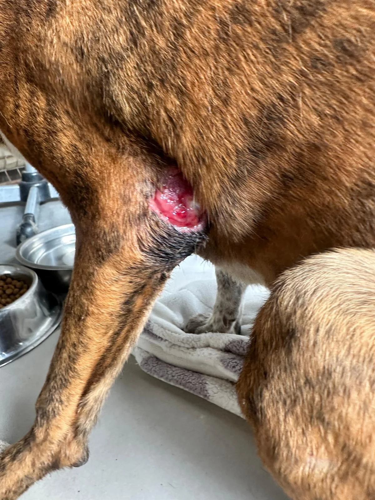 WhatsApp Image 2026-01-23 at 6.31.38 PM (4).jpeg