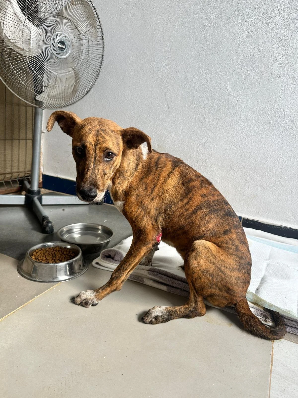 WhatsApp Image 2026-01-23 at 6.31.38 PM (2).jpeg