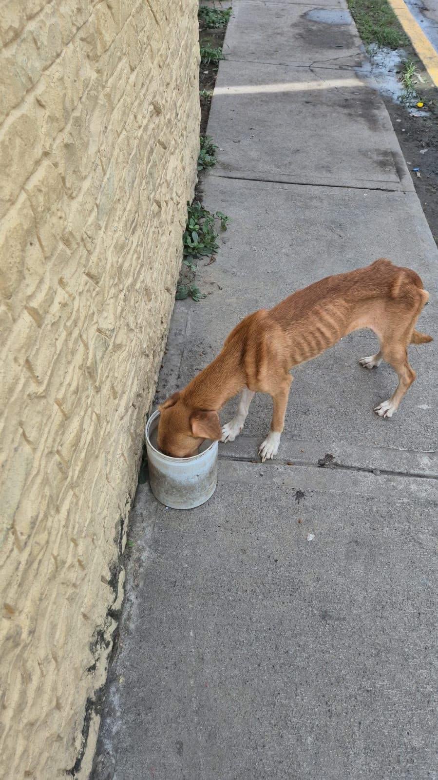 WhatsApp Image 2026-01-23 at 1.07.36 PM.jpeg