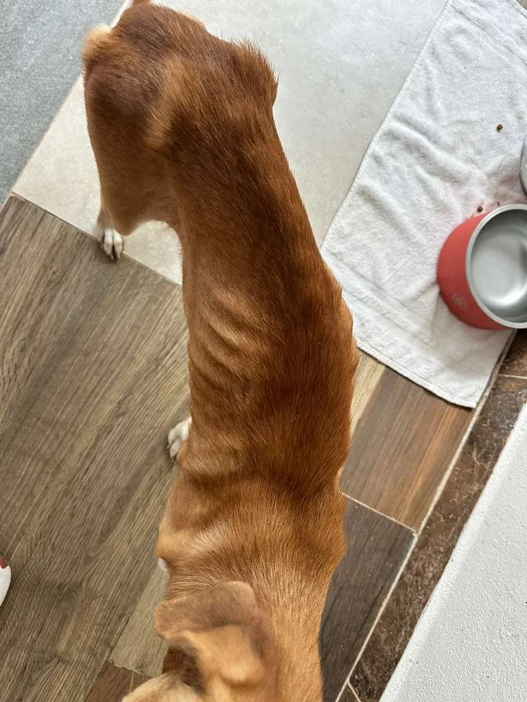 WhatsApp Image 2026-01-23 at 1.07.38 PM (1).jpeg