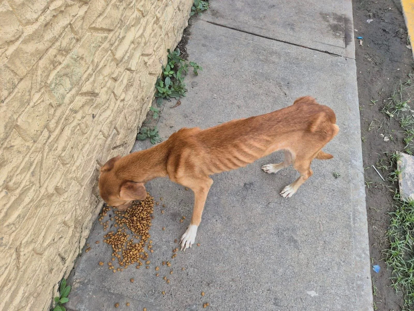 WhatsApp Image 2026-01-23 at 1.07.37 PM.jpeg