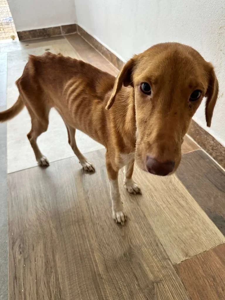 WhatsApp Image 2026-01-23 at 1.07.39 PM (1).jpeg