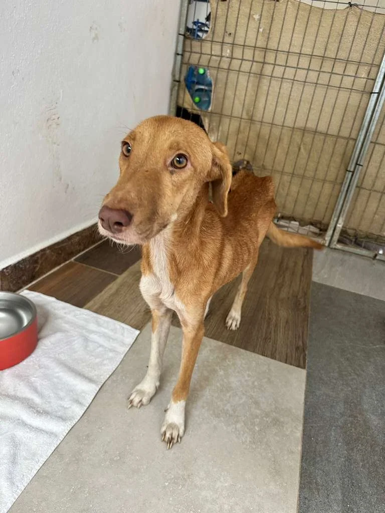 WhatsApp Image 2026-01-23 at 1.07.41 PM.jpeg