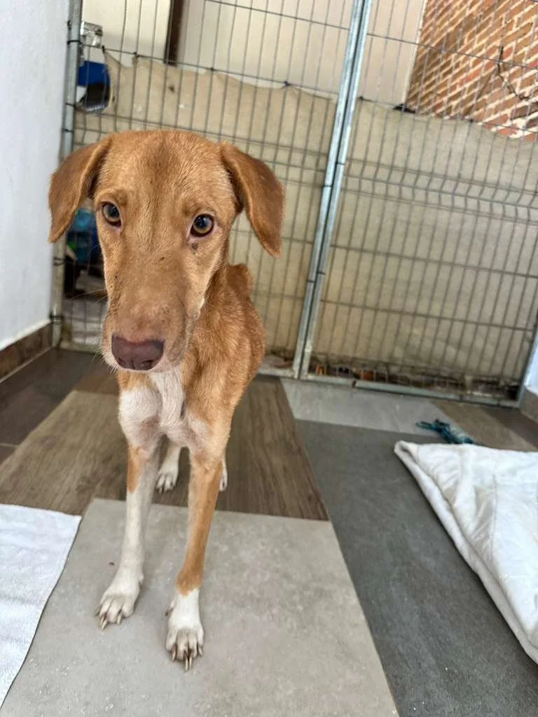 WhatsApp Image 2026-01-23 at 1.07.42 PM.jpeg