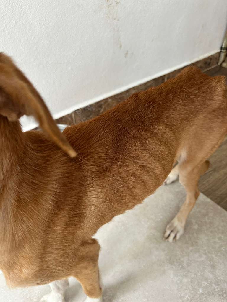 WhatsApp Image 2026-01-23 at 1.07.43 PM.jpeg