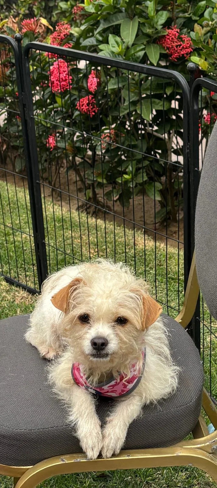 WhatsApp Image 2026-01-26 at 11.22.00 AM.jpeg