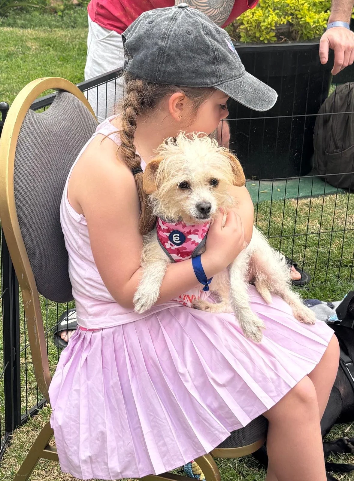 WhatsApp Image 2026-01-26 at 11.22.00 AM (1).jpeg