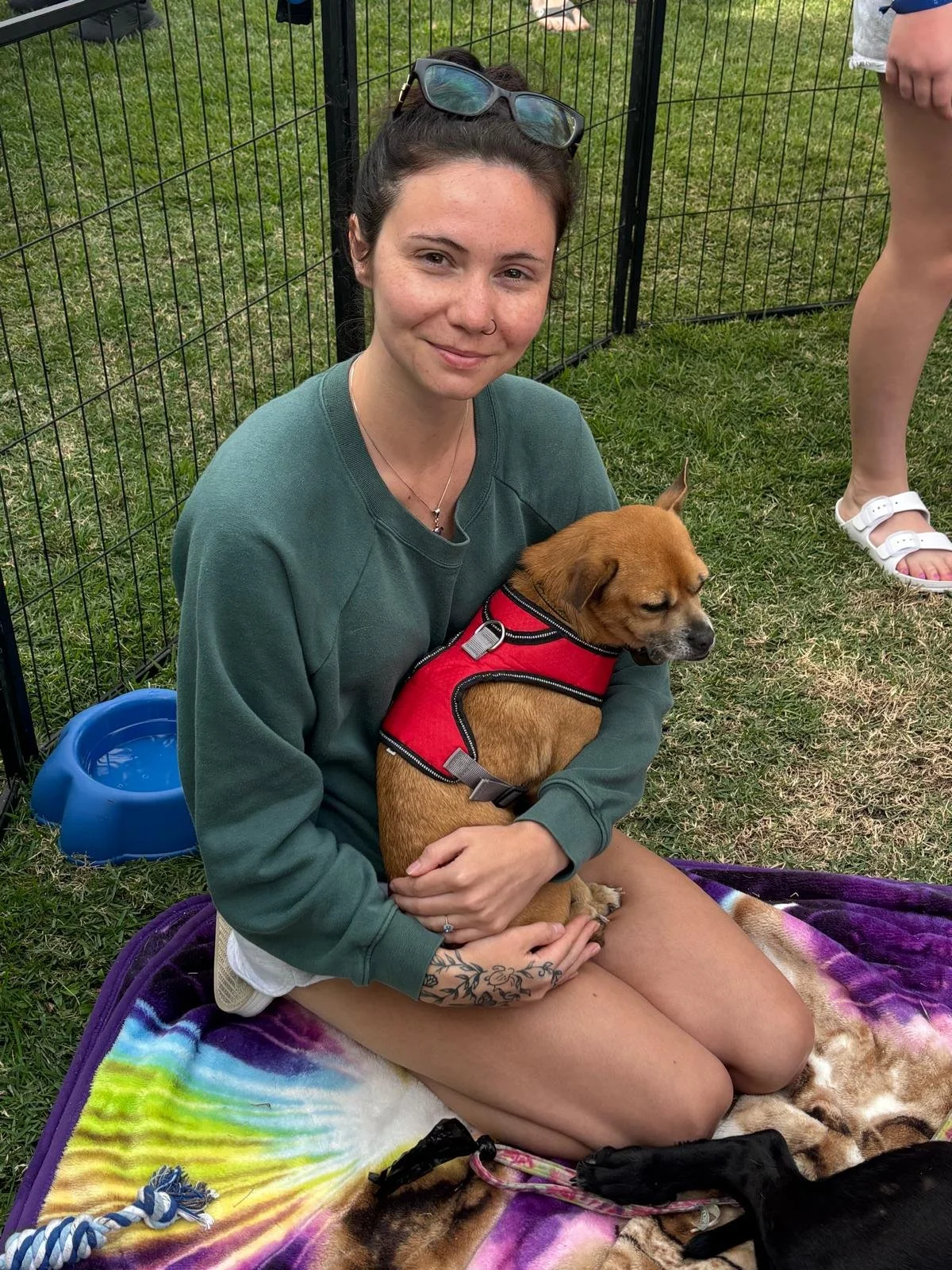 WhatsApp Image 2026-01-26 at 11.22.00 AM (3).jpeg