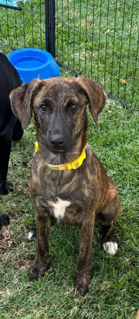 WhatsApp Image 2026-01-26 at 9.38.46 AM.jpeg