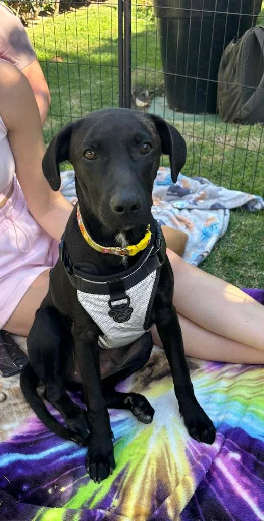 WhatsApp Image 2026-01-26 at 12.22.23 PM.jpeg