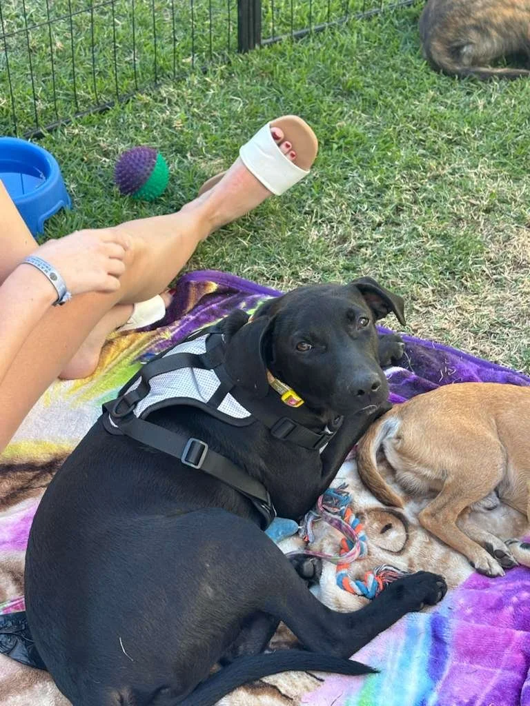 WhatsApp Image 2026-01-26 at 12.22.52 PM (1).jpeg