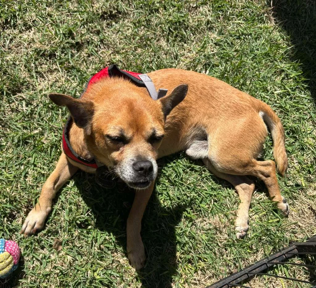 WhatsApp Image 2026-01-26 at 12.22.52 PM.jpeg