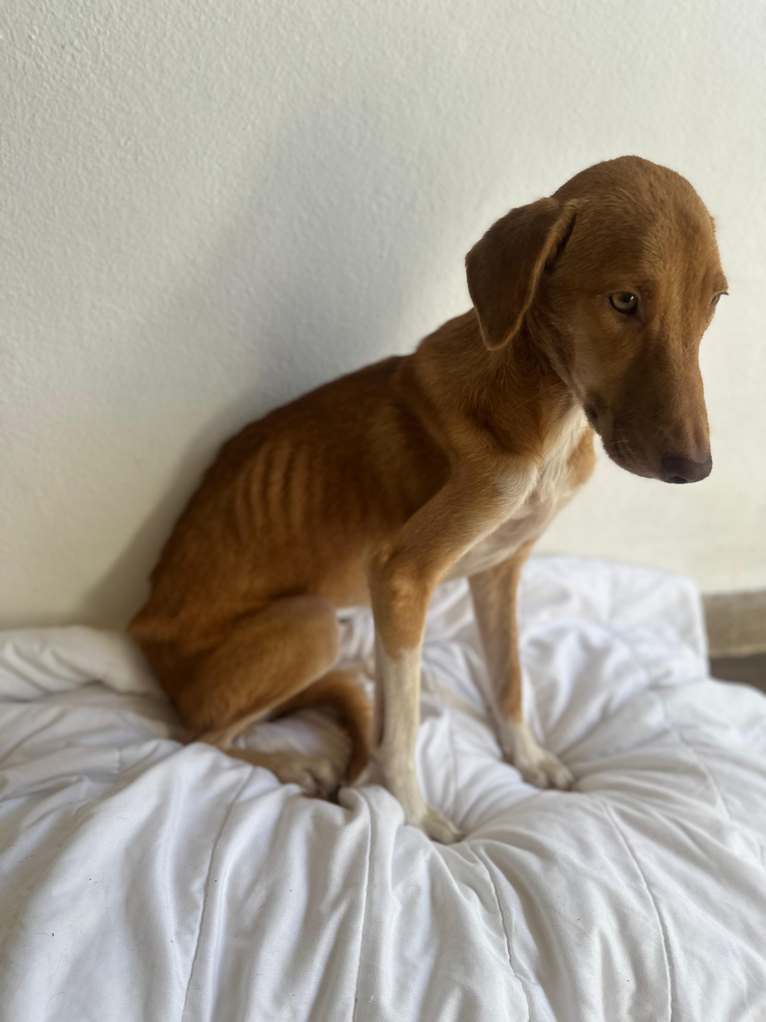 Lenni 1-26-26 SKinny C.jpeg