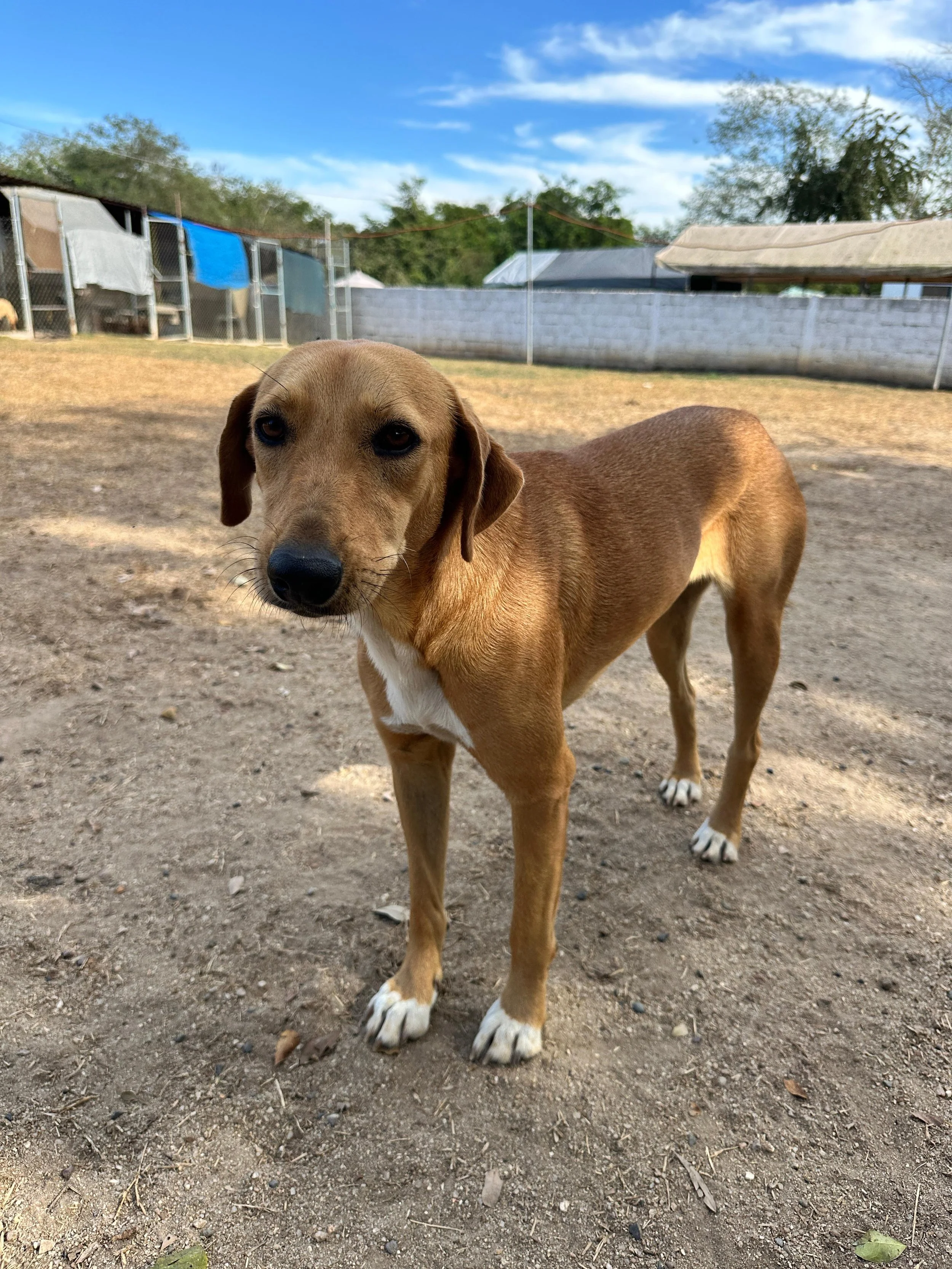 Lenni 1-26-26 A.jpeg