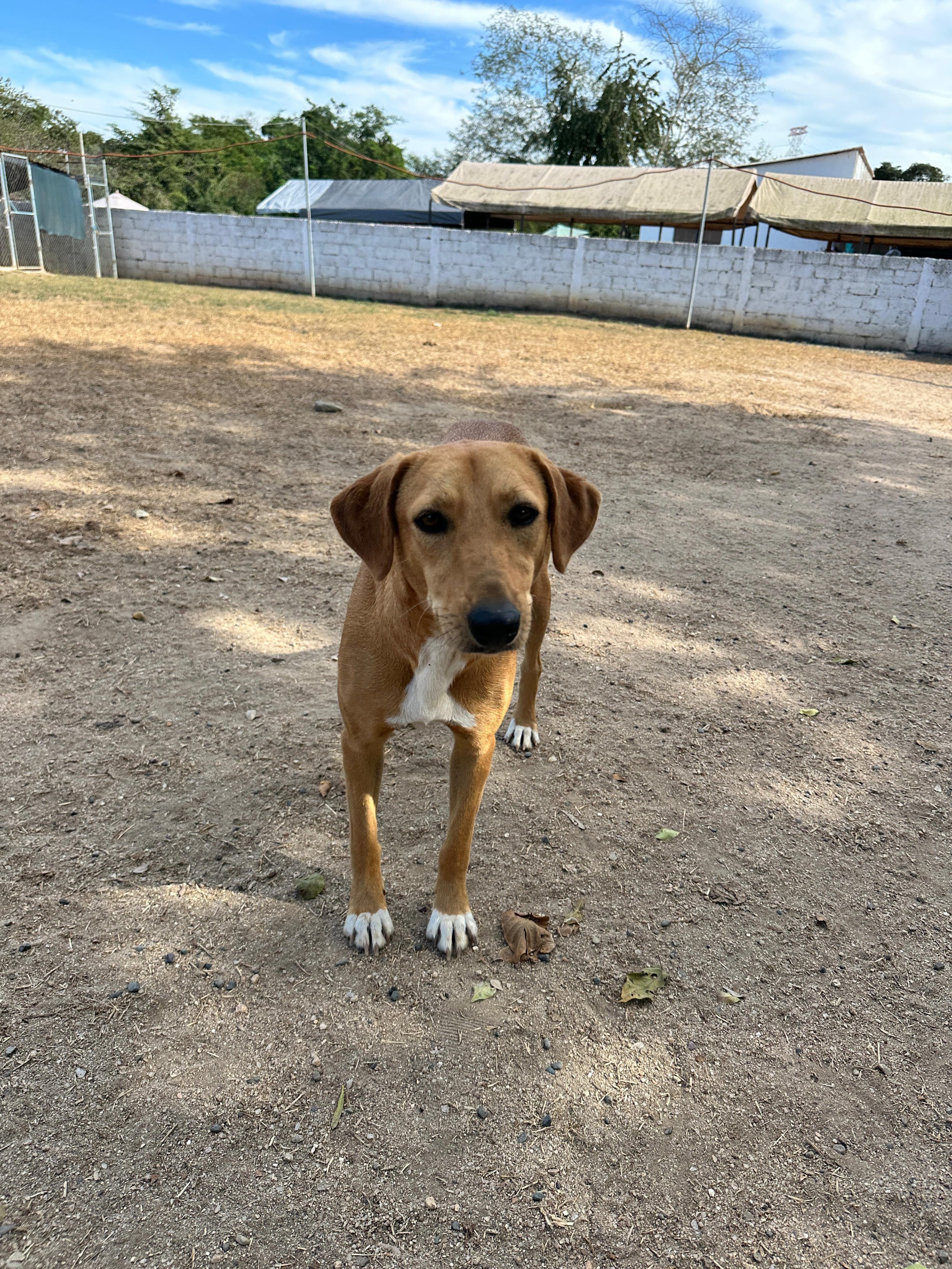 Lenni 1-26-26 B.jpeg