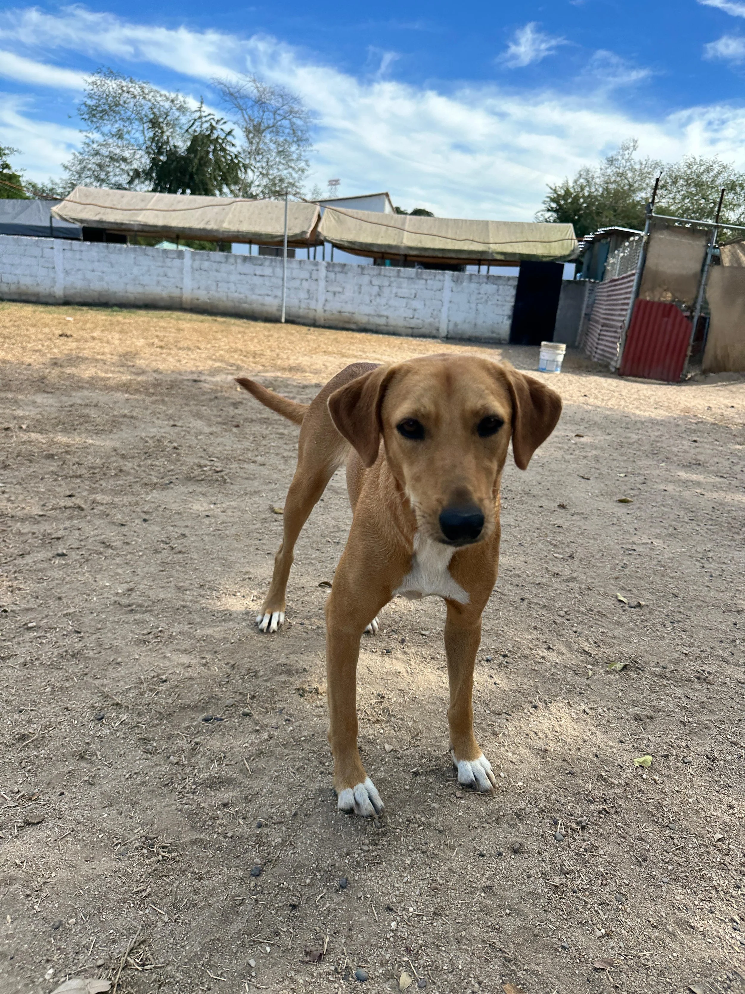 Lenni 1-26-26 D.jpeg