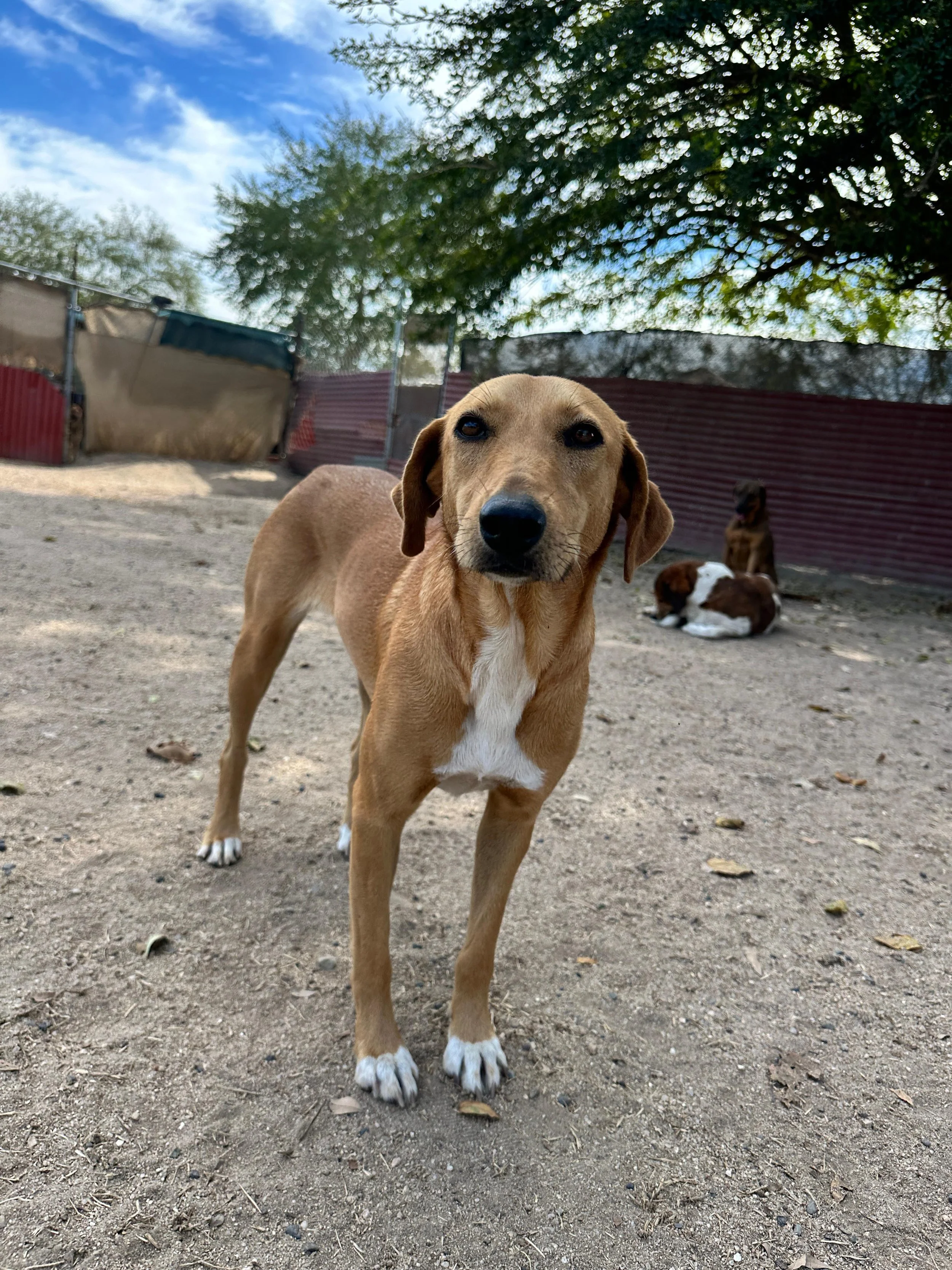 Lenni 1-26-26 Profile.jpeg