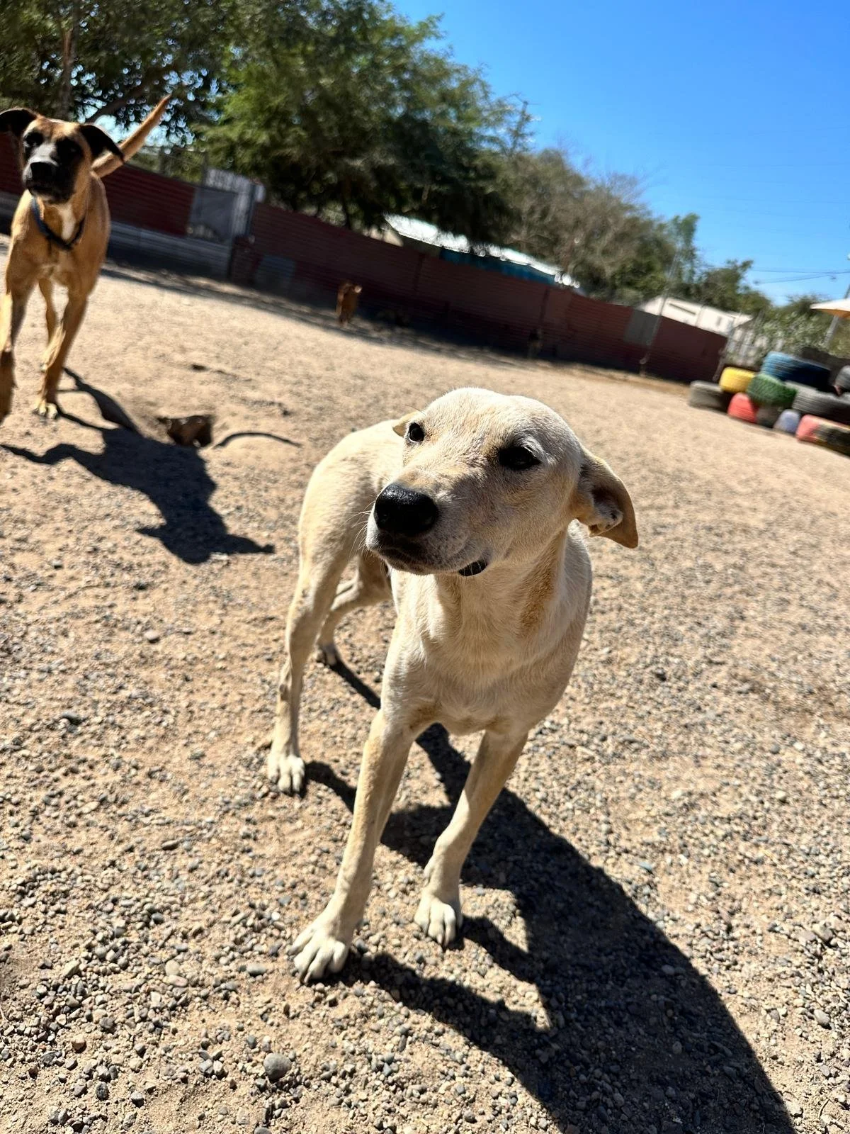 Angel 1-26-26 B.jpeg