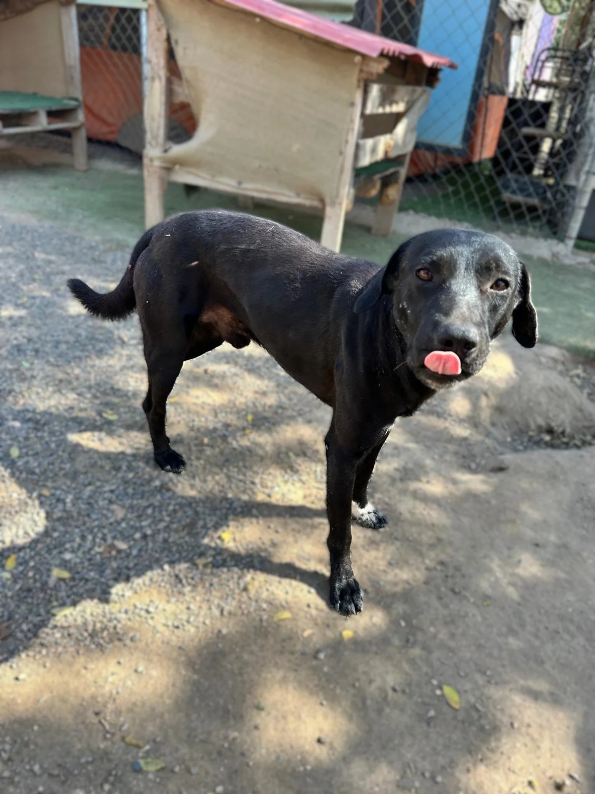 WhatsApp Image 2026-01-29 at 4.26.36 PM.jpeg